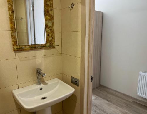 a bathroom with a sink and a mirror at Eniseli in Chakvi