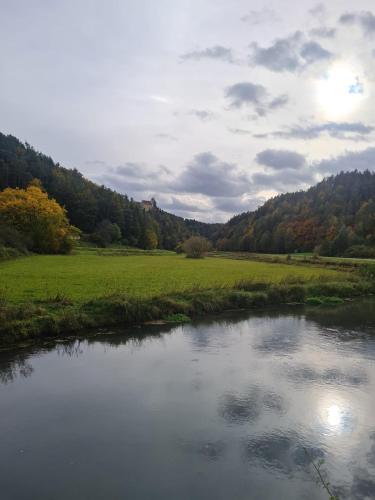 a river in a field with trees in the background at Waldpension Rabeneck in Waischenfeld