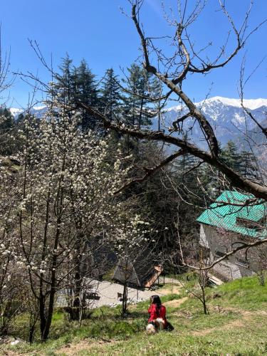 a person with a dog in a field with a tree at The heavens place wooden room in Nagar
