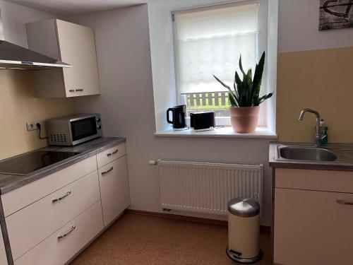 a small kitchen with a sink and a window at Ferienwohnung Schmidt in Wehr