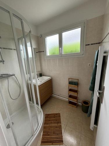 une salle de bain avec douche et lavabo dans l'établissement Le Petit Cocon, à Saint-Jean-de-la-Rivière