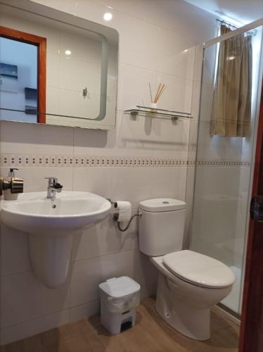 Apartamentos Rovi-Ático céntrico con ascensor