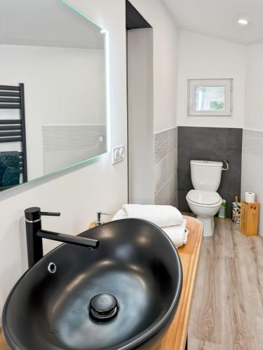 une salle de bain avec un lavabo noir et des toilettes dans l'établissement Maison au cœur de la vallée du Cantal - 2pers, à Lascelle