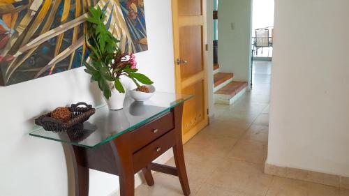 a glass table with a potted plant on top of it at Sikinos Holiday Home in Telchac Puerto