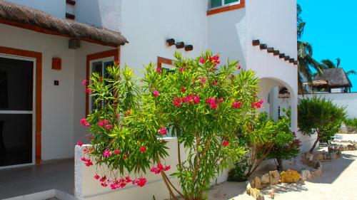 a group of plants with pink flowers in front of a building at Sikinos Holiday Home in Telchac Puerto