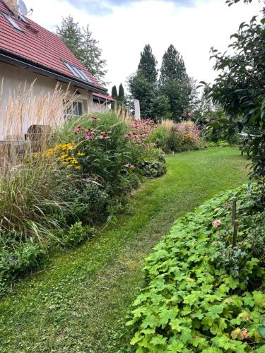 a garden with flowers and plants next to a house at Chalupa u Broumovských stěn in Božanov