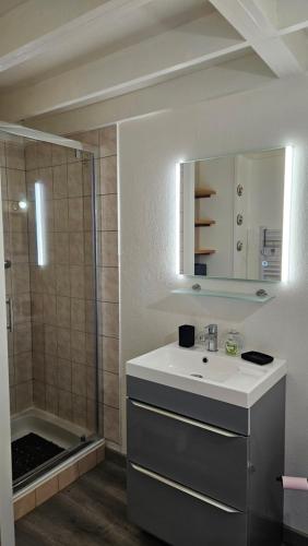 une salle de bain avec un lavabo et une douche dans l'établissement Au bord du lac, à Giffaumont