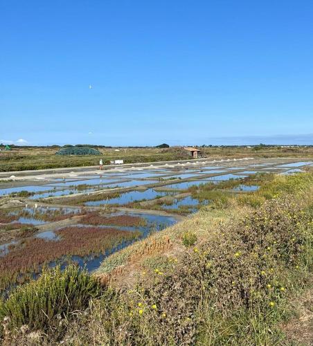 Paesaggio naturale nelle vicinanze della villa
