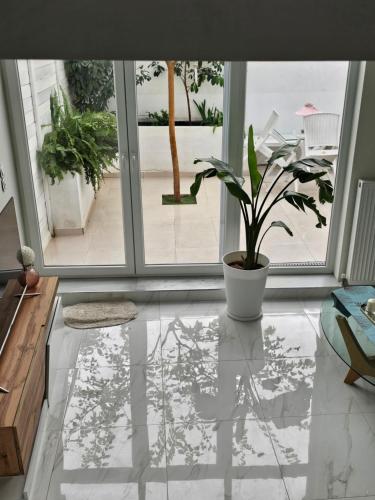 a potted plant sitting on a marble floor in a room at Lofts in Thérmi