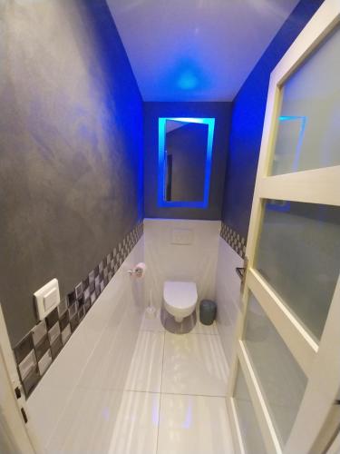 La salle de bains est pourvue de toilettes et d'un plafond bleu. dans l'établissement Spacieux appartement moderne, à La Garde