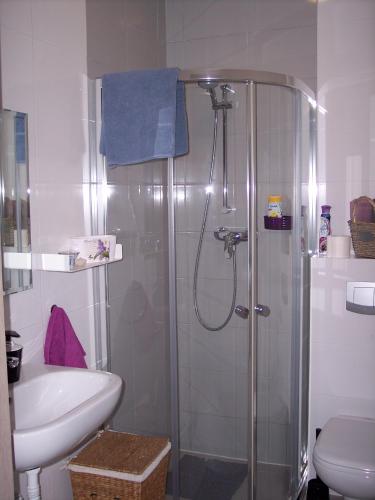 a bathroom with a shower and a toilet and a sink at Willa Oliwia in Ustka