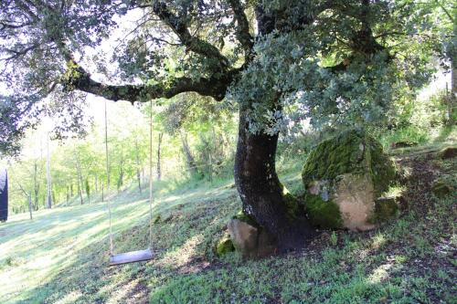 a swing under a tree in a field at Quinta Da Devesa B1 in Vinhais