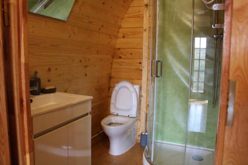 a bathroom with a toilet and a sink and a shower at Quinta Da Devesa B1 in Vinhais