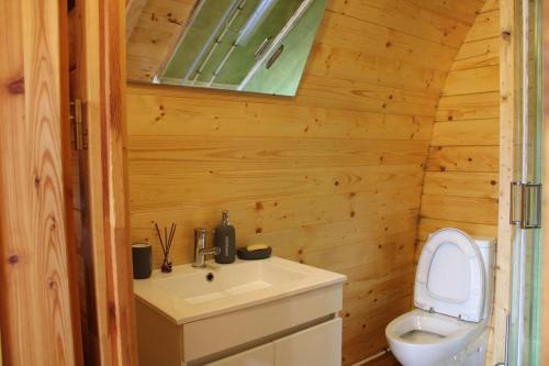 a bathroom with a toilet and a sink at Quinta Da Devesa B1 in Vinhais