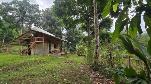 a small house in the middle of a forest at Manglenato in El Valle