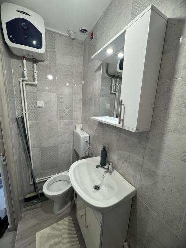 a bathroom with a sink and a toilet and a shower at Studio 2 in Fălticeni