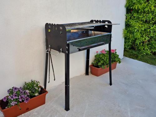 an outdoor grill with potted plants next to a wall at Agriturismo Cydonia Home in Ari