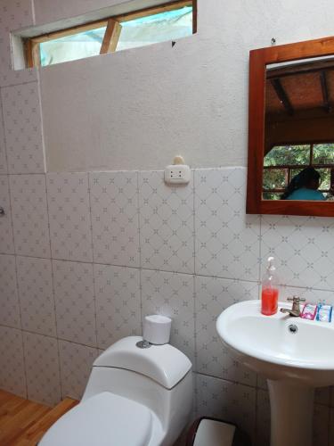 a bathroom with a toilet and a sink at Lia B&B Lucmabamba in Sahuayacu