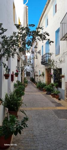 an alley with potted plants on the side of a building at Apartamentos turísticos "El Refugio" in Algar de Palancia