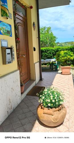 a building with a flower pot in front of a door at Affittacamere Roberta in Osimo