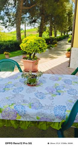 a table with a blue table cloth with flowers on it at Affittacamere Roberta in Osimo