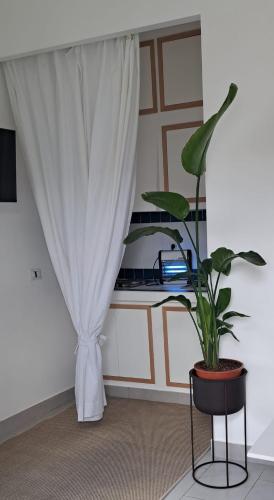 Fotografie z fotogalerie ubytování La Locandina v destinaci Cerveteri