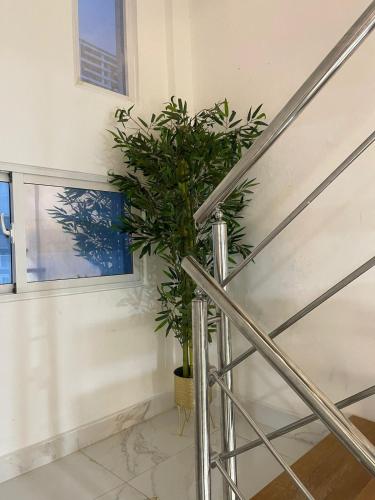 a plant sitting on the side of a staircase at Villa súper cómoda 3 habitaciones con piscina in Juan López