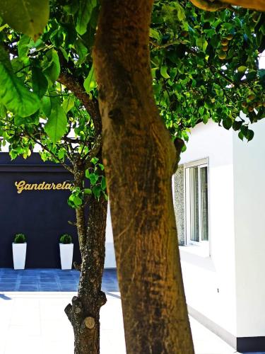 Apartamentos VUT Gandarela