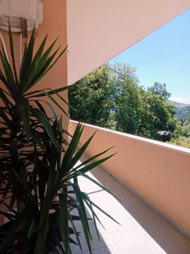Μπαλκόνι ή βεράντα στο Apartment Luka 2 near Dubrovnik
