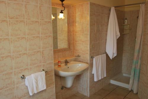 a bathroom with a sink and a shower at Agriturismo Villa Vetiche in Rocca San Giovanni