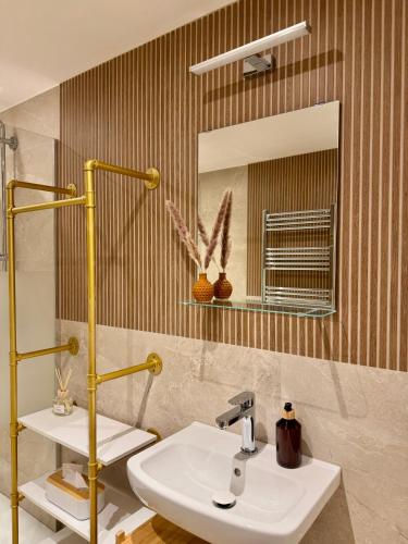 a bathroom with a sink and a mirror at Hotel de Maître de Vaughan in Brussels