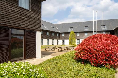 a building with benches and red bushes in front of it at Holiday Inn Express London - Epsom Downs by IHG in Epsom