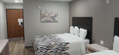 una camera d'albergo con un letto in una stanza di Red Roof Inn & Suites Euless - DFW Airport Southwest a Euless