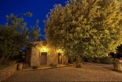 Κήπος έξω από το Relais Villa Baldelli