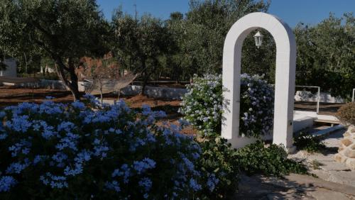 Κήπος έξω από το Ricco di stelle