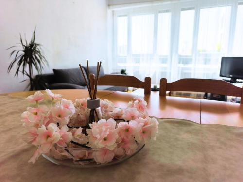 Grand appartement lumineux et central