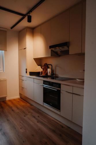 a kitchen with white cabinets and a stove top oven at Aprießnig Apartments in Fürnitz