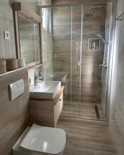 a bathroom with a shower and a toilet and a sink at AS apartmani in Budva