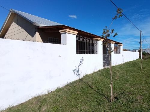 a small tree in front of a white wall at Alquiler Temporal Tandil - Xavier in Tandil