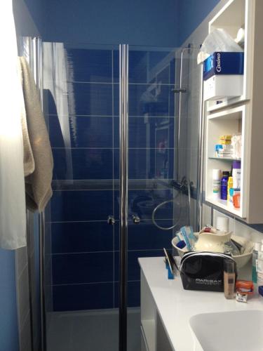 une douche avec une porte vitrée dans une salle de bain dans l'établissement manhé, à La Teste-de-Buch