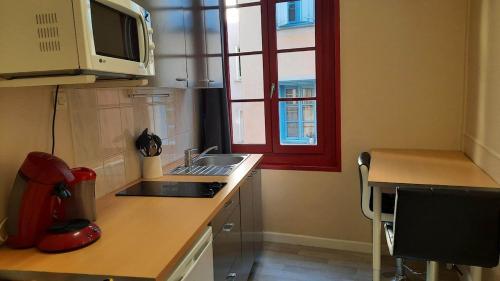 une petite cuisine avec un évier et un micro-ondes dans l'établissement Appartement vieille ville Le Puy, au Puy-en-Velay