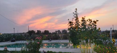 a garden with flowers and a swimming pool at sunset at Cascina Olmetto di Sotto in Ghedi