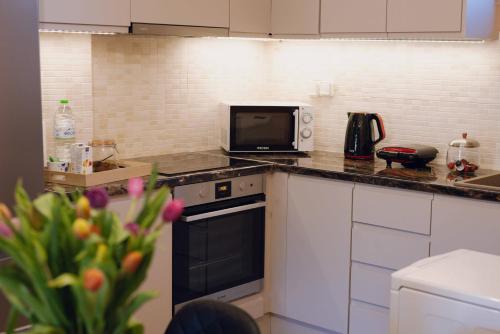 a kitchen with a stove and a microwave at Seaside "Stone & Light Villa II" close to Aegina City in Khlóï