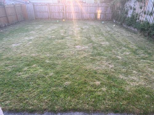 a backyard with a fence and a yard with grass at Daves Cave in Antrim