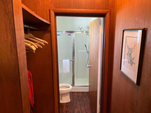 a bathroom with a shower and a toilet in it at Emma's Cottage #537 in Sevierville