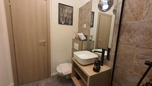 a bathroom with a sink and a toilet and a mirror at Aze - Green Business in Bucharest