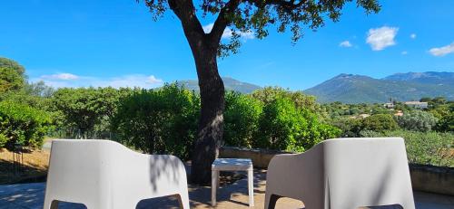 two white chairs and a table under a tree at T3 Dolce & Vita D5 avec Piscine et vue Montagnes in Propriano