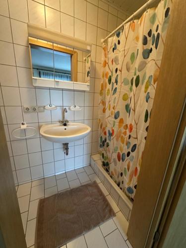 a bathroom with a sink and a mirror and a shower at Zigeunermühle in Weißenstadt