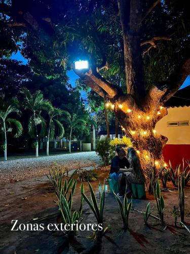 a couple sitting under a tree with lights at Apartamentos Sol de Coveñas TI in Coveñas