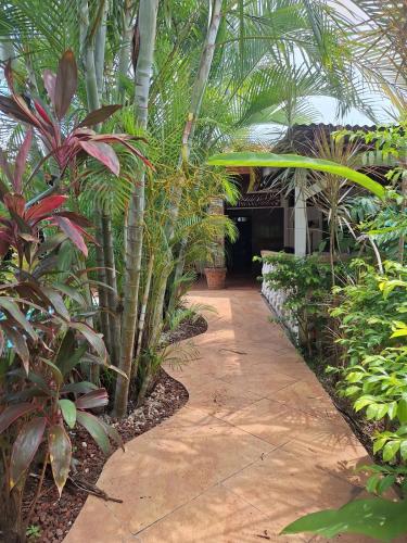 a path through a garden with palm trees and plants at Villa en Orotina con Piscina in Coyolar